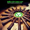 DIEU CAY CHIU LIU