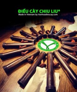 DIEU CAY CHIU LIU