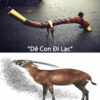 Dê Con Đi Lạc
