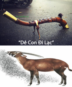 Dê Con Đi Lạc