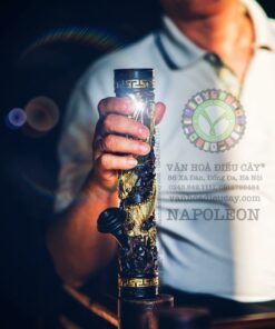 Vương Điếu Napoleon