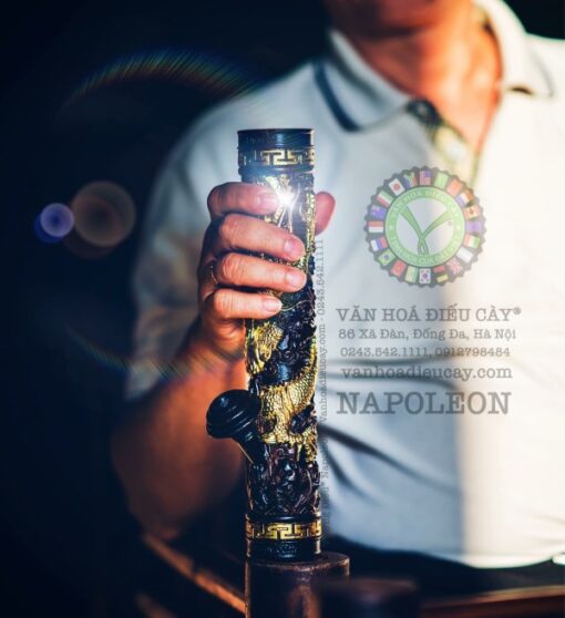 Vương Điếu Napoleon