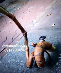 Ốc Sên Cổ Cò