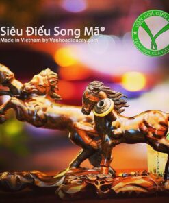Siêu Điếu Song Mã®: Đôi Bạn Tri Kỉ